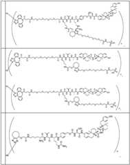 Figure BDA0002889616220001321