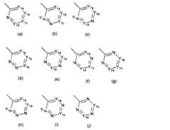 Figure JPOXMLDOC01-appb-C000006