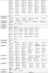 Figure BDA0003722775960000941