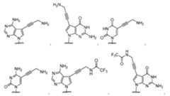 Figure imgf000074_0003