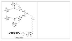 Figure 106103567-A0304-12-0271-261