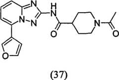 Figure GPA00001035513100811
