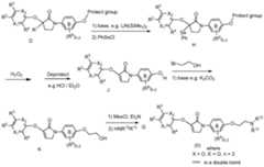 Figure imgf000031_0001