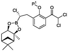 Figure imgf000005_0001