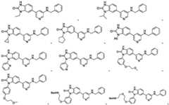 Figure FDA0003236274770000072