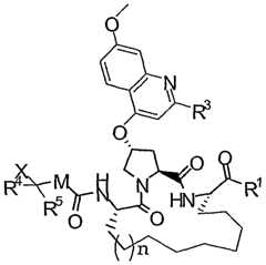 Figure imgf000031_0001