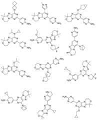 Figure BDA0001402557760000321