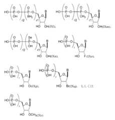 Figure 2022122923000466