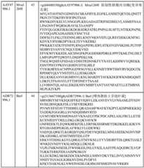 Figure BDA0000429500830000261