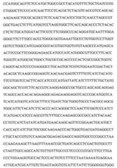 Figure 104109152-A0202-12-0119-81