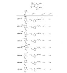 Figure JPOXMLDOC01-appb-C000043