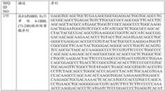 Figure BDA0001868160740001512