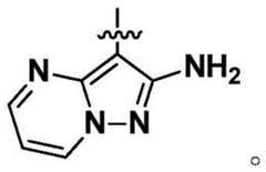 Figure BDA0003142399140000911