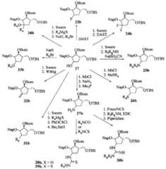 Figure imgf000062_0001