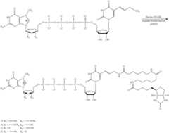 Figure US08093367-20120110-C00014