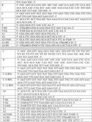 Figure BDA0001771945740000331