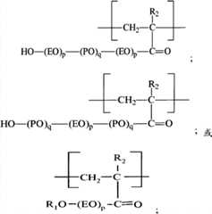 Figure BPA00001187520000041