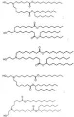 Figure imgf000021_0001