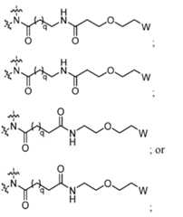 Figure imgf000005_0003
