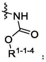 Figure BDA0003361869440000021