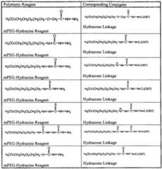 Figure imgf000059_0001