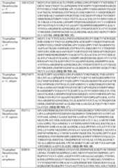 Figure imgf000037_0001