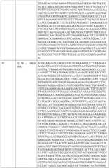 Figure BDA0002317806370000721