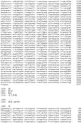 Figure IDA0002536600790000151