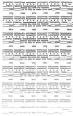 Figure imgf000081_0001