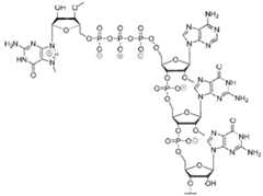 Figure imgf000069_0001