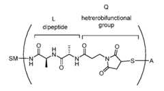 Figure imgf000014_0001
