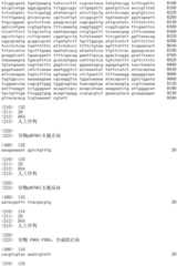 Figure IDA0002536600790001261