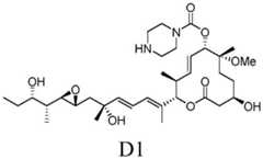 Figure BDA0002808063770001941