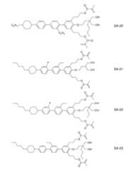 Figure 2024079817000141