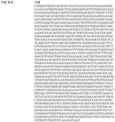 Figure 112022003421648-pat00018