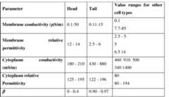 Figure imgf000031_0001