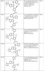 Figure imgf000149_0001