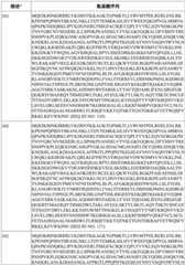 Figure BDA0003627552160001151