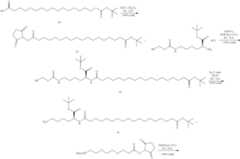 Figure US11185570-20211130-C00033