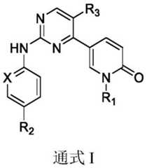 Figure FDA0003207287100000011