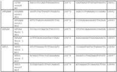 Figure imgf000179_0001