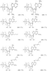 Figure imgf000656_0001