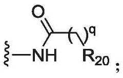 Figure BDA0003027048450001463