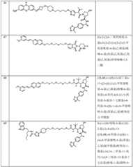 Figure BDA0003027048450003681