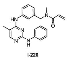 Figure 112016119396583-pat00551