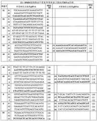 Figure BDA0003092930280000051