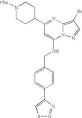 Figure US07119200-20061010-C01886