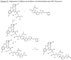 Figure imgf000251_0001