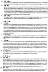 Figure 112008046186434-PCT00013