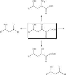 Figure US08546118-20131001-C00005